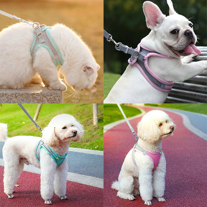 Pawsome Pet Harness Set