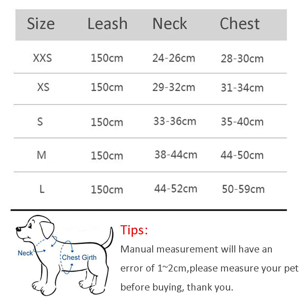 Pawsome Pet Harness Set