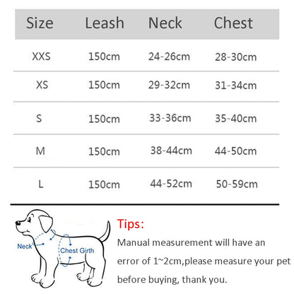 Pawsome Pet Harness Set