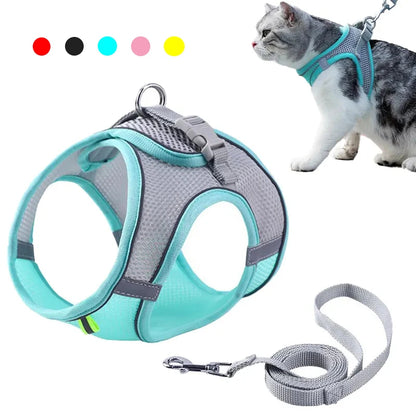 Pawsome Pet Harness Set